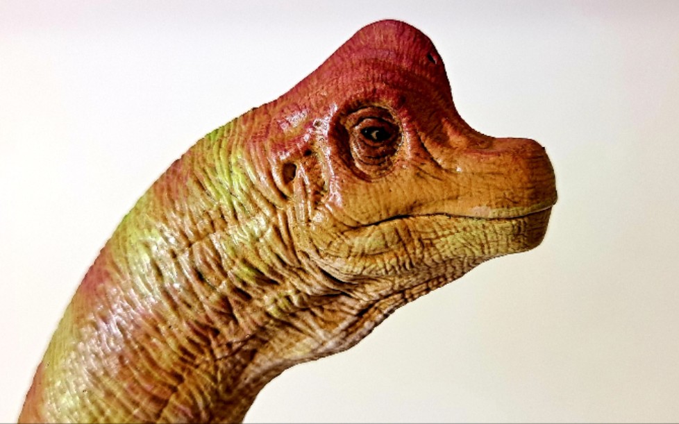 本心楠改红头腕龙测评