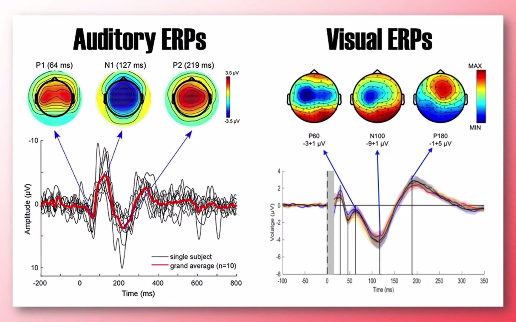 事件相关电位Neuroscience Methods哔哩哔哩bilibili