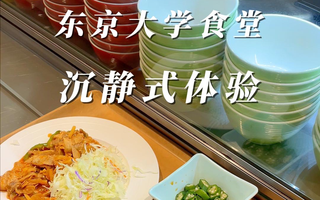 东京大学食堂银杏大道 沉静式体验
