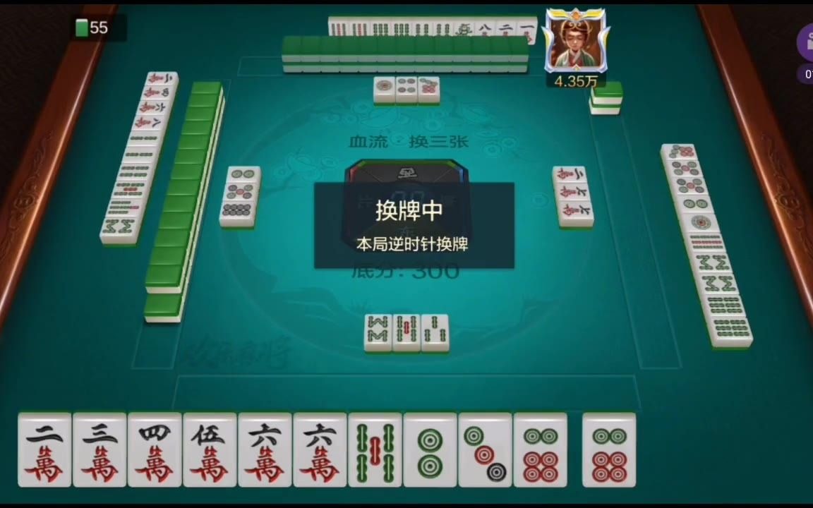 精彩小牌 平胡两杠,胡了好几张牌,不错!希望内容好过标题