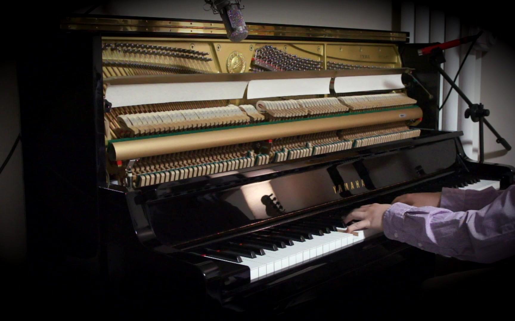 电吉他:hard rock, metal, funk,爵士钢琴(stride piano/swing),古典