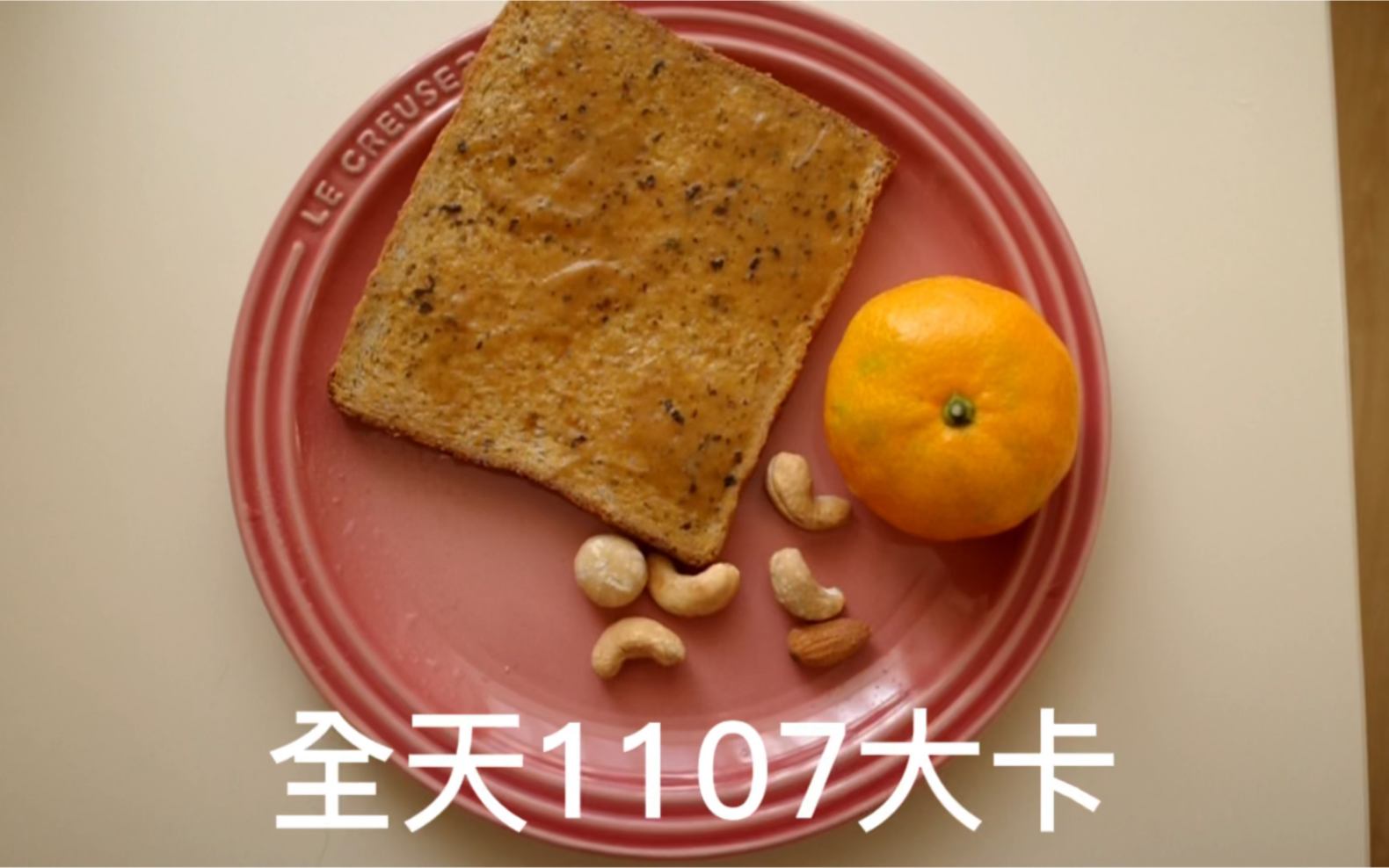 91斤全天1107大卡日常饮食热量测评记录哔哩哔哩bilibili