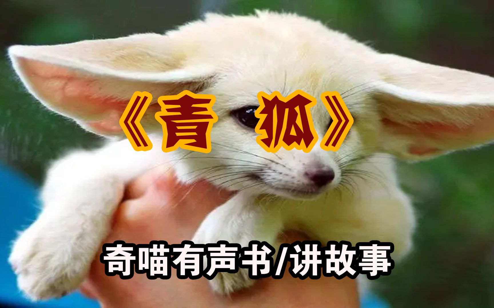 恐怖故事青狐恐怖悬疑有声书试胆系列小说奇喵讲故事