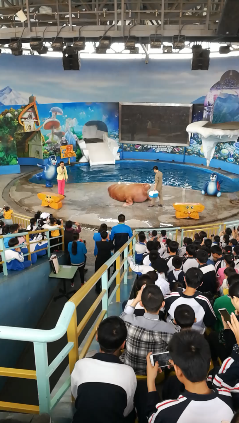 武汉海洋馆_哔哩哔哩_bilibili