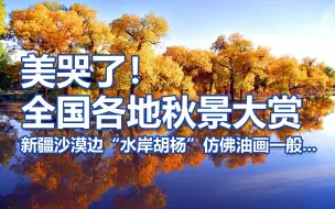 Télécharger la video: 美哭了！全国各地秋景大赏：新疆沙漠边“水岸胡杨”仿佛油画一般...