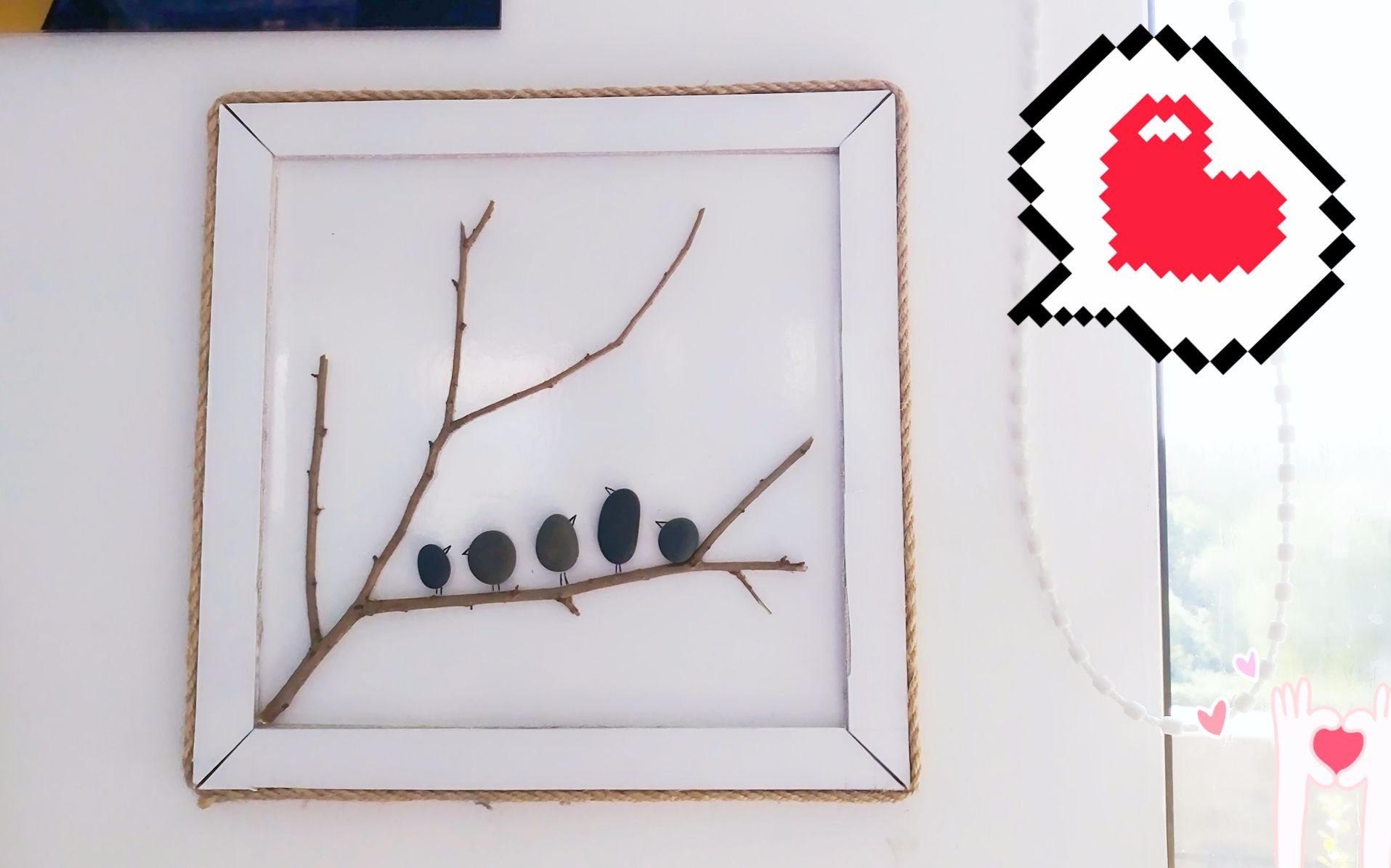 松树枝的功效与作用(松树枝的功效与作用,让你健康