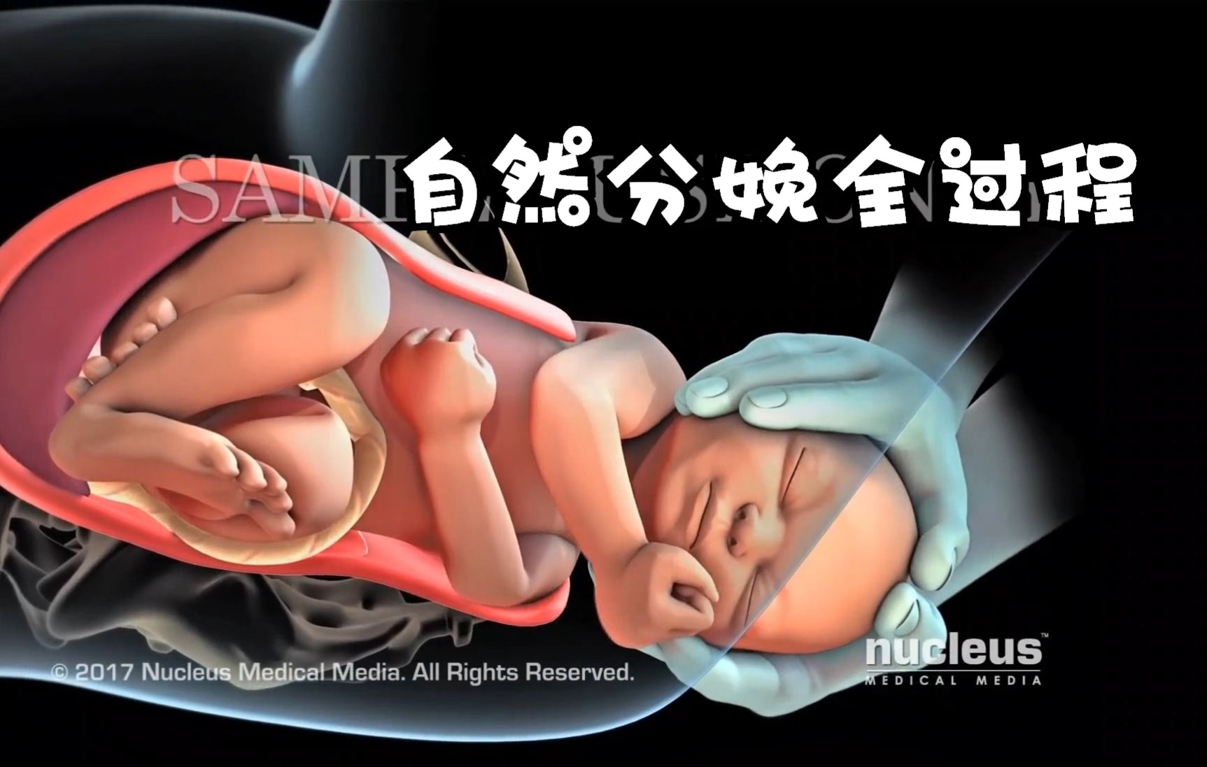 精彩3D医学视频还原孕妇分娩全过程哔哩哔哩bilibili