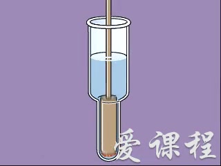 [图]【生命科学导论】浙江大学丨含课件