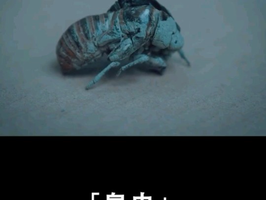 动物启示录臭虫
