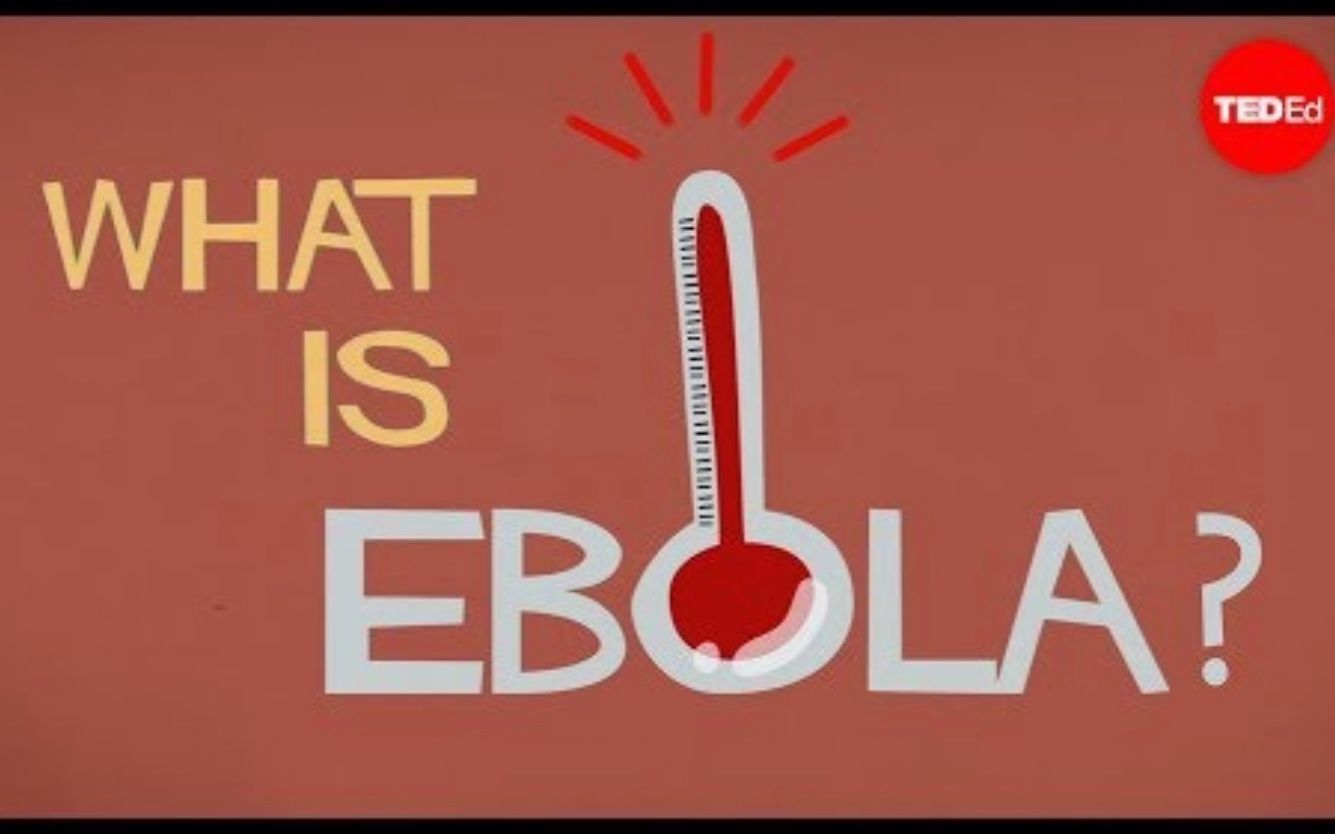 [图]【Ted-ED】什么是伊波拉病毒 What Is Ebola