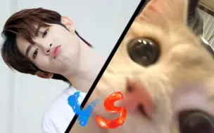 Download Video: 【netjames】史诗级猫猫大对决～  susu  vs  chuchu