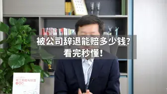 Download Video: 被公司辞退能赔多少钱？看完秒懂！