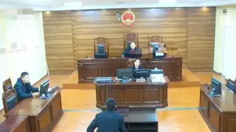 Скачать видео: 男子花10.5万买缅甸媳妇被公诉，被害人陈述被拐前后：曾跑过1次