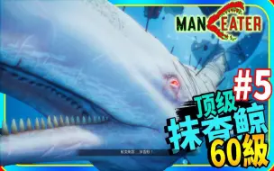 Download Video: 海中最高等级60级掠食者！！顶级抹香鲸！！ #5 食人鲨《Maneater》【老头】