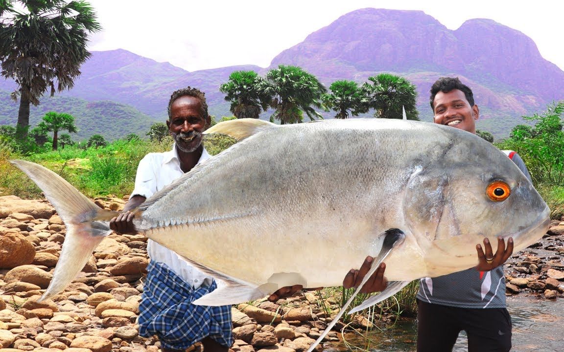 活动作品印度村长爷爷烹饪50斤大鲹鱼在盐层上加热是什么方法