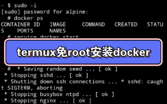 termux免root安装docker哔哩哔哩bilibili