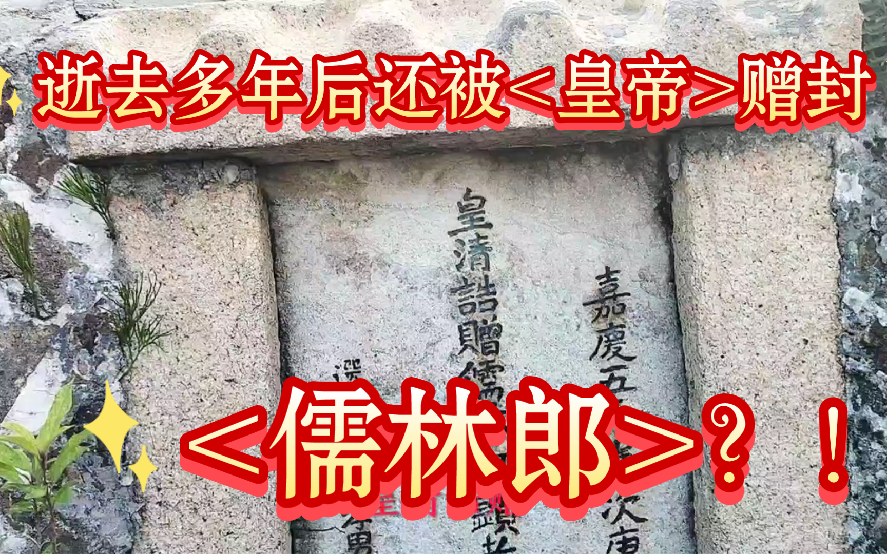 北陡镇明、清时期的名门望族祖坟,皇帝赠封<儒林郎>想必其子孙当了高官哔哩哔哩bilibili