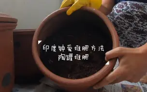 Descargar video: 在印度流行的堆肥方法：赤陶罐堆肥