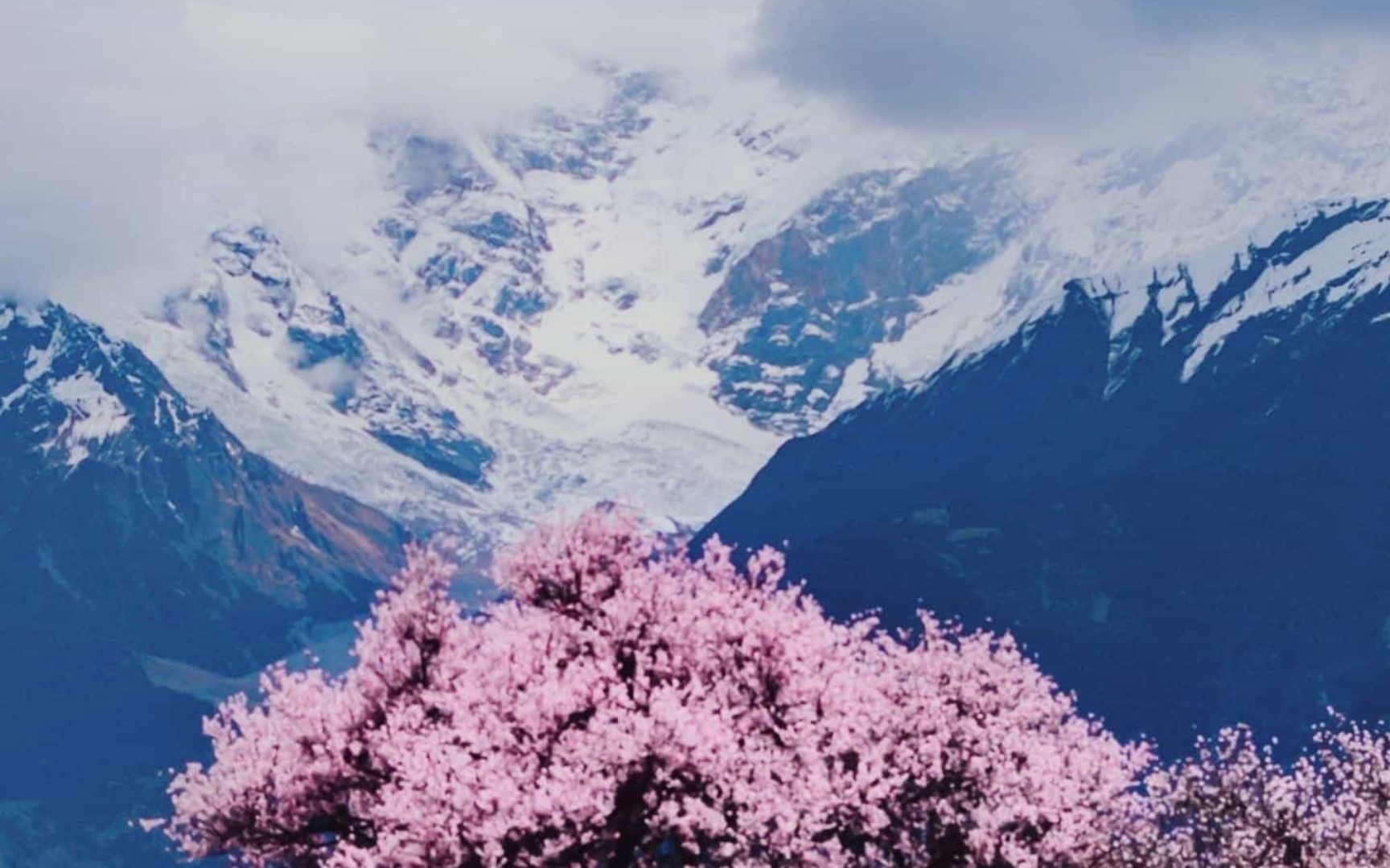 华为壁纸真的泰魅辣