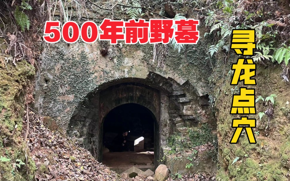 [图]寻龙找到500年前深山野墓，竟是个王爷墓！盗墓贼不死心寻找暗道