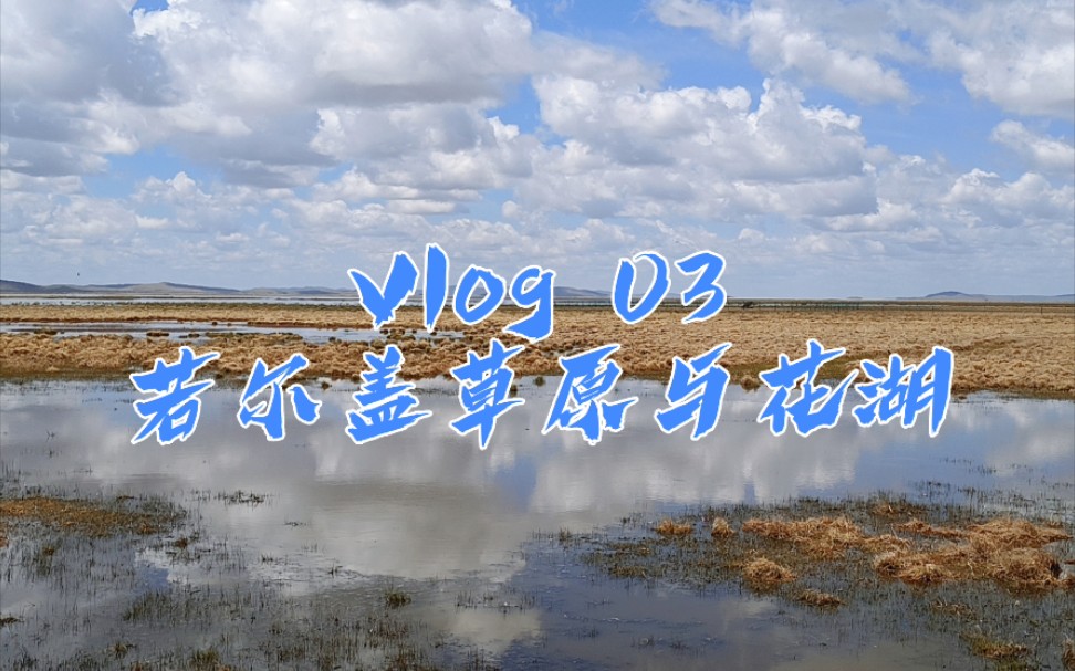 [图]Vlog 03 若尔盖草原与花湖