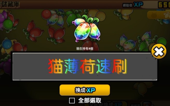猫咪大战争:猫薄荷速刷方法