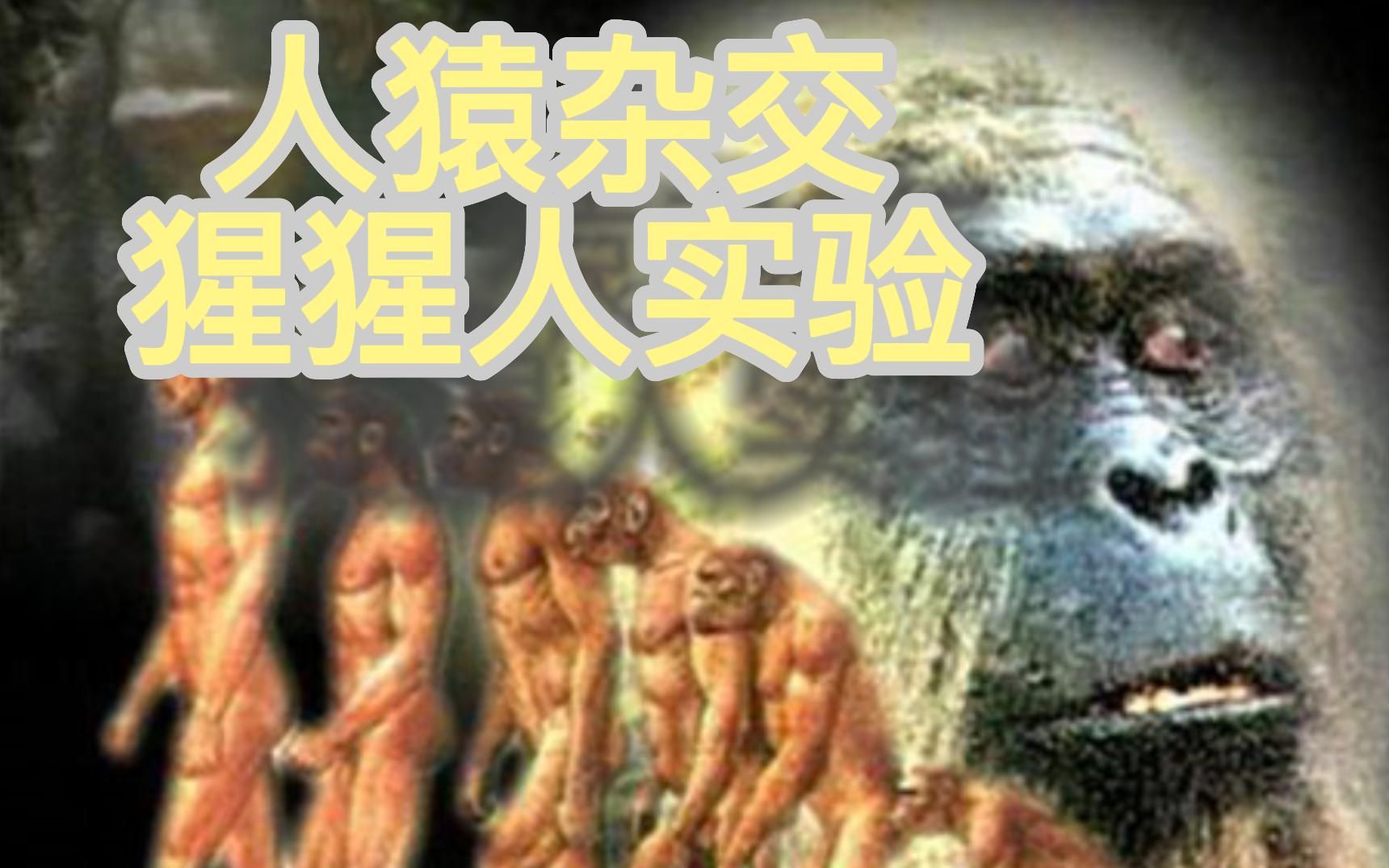 人猿杂交|苏联科学家伊万诺夫如何进行实验 过程很残忍?