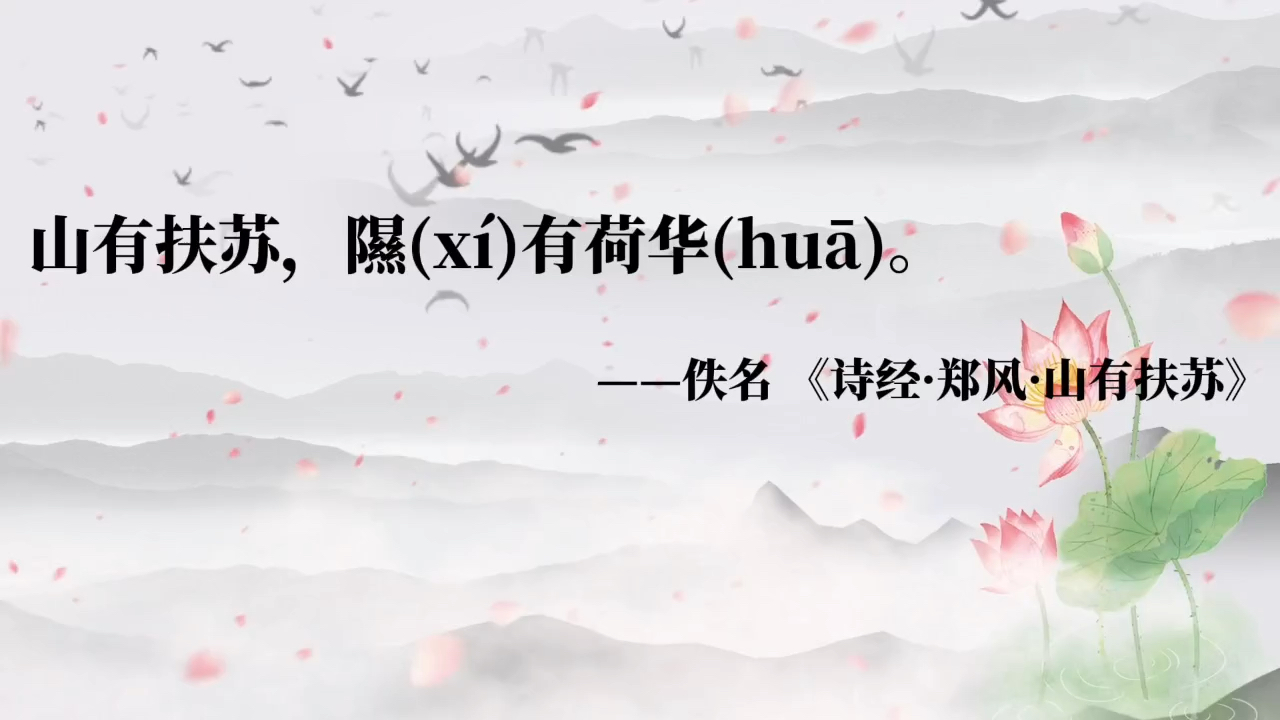 #老祖宗眼中的荷花是什么样的?快来看看吧哔哩哔哩bilibili