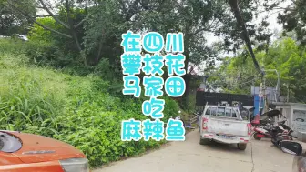 Video herunterladen: 在四川攀枝花马家田吃麻辣鱼