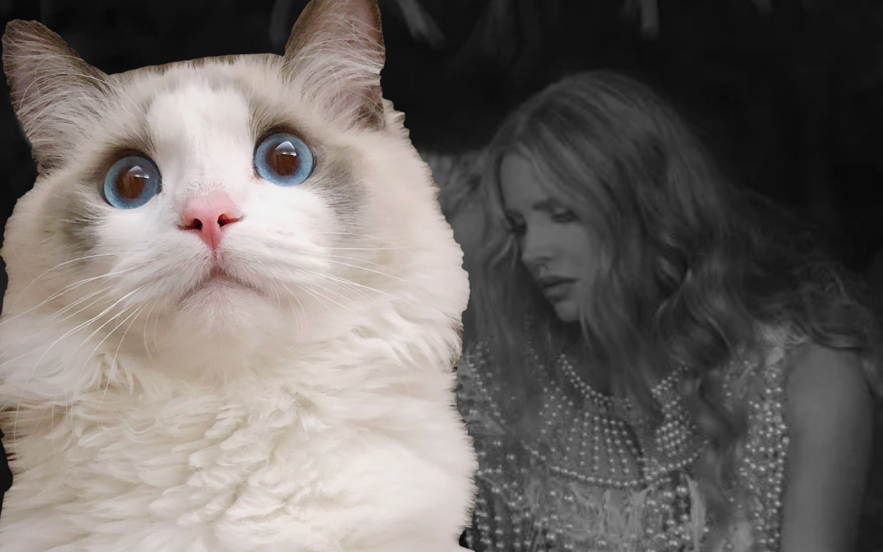 8分钟学唱打雷姐lana del rey热门新单《chemtrails over the country