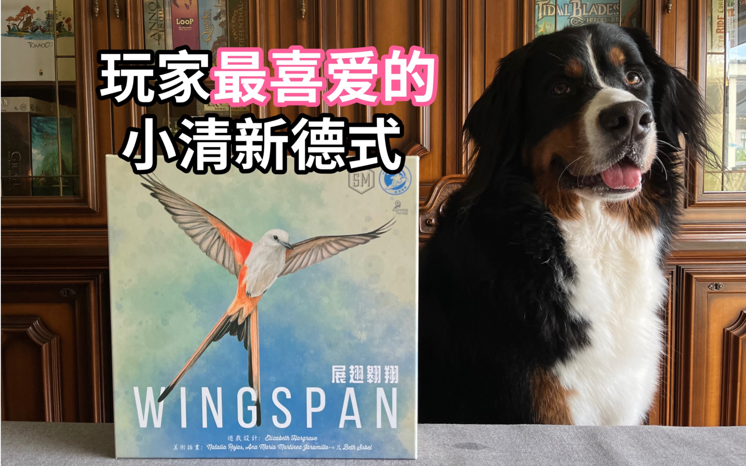 [图]【夏天桌游】规则教学 Wingspan《展翅翱翔》颜值和实力都太能打了 玩家评选排名第一！