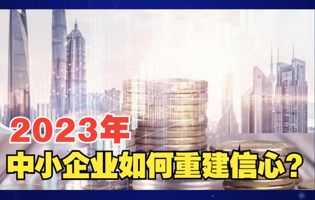 2023年国内经济会有哪些好转?中小企业如何重建信心?哔哩哔哩bilibili