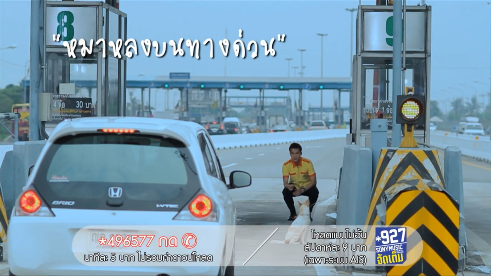 [图]ก้องภพ แก้วเรือง「หมาหลงบนทางด่วน」