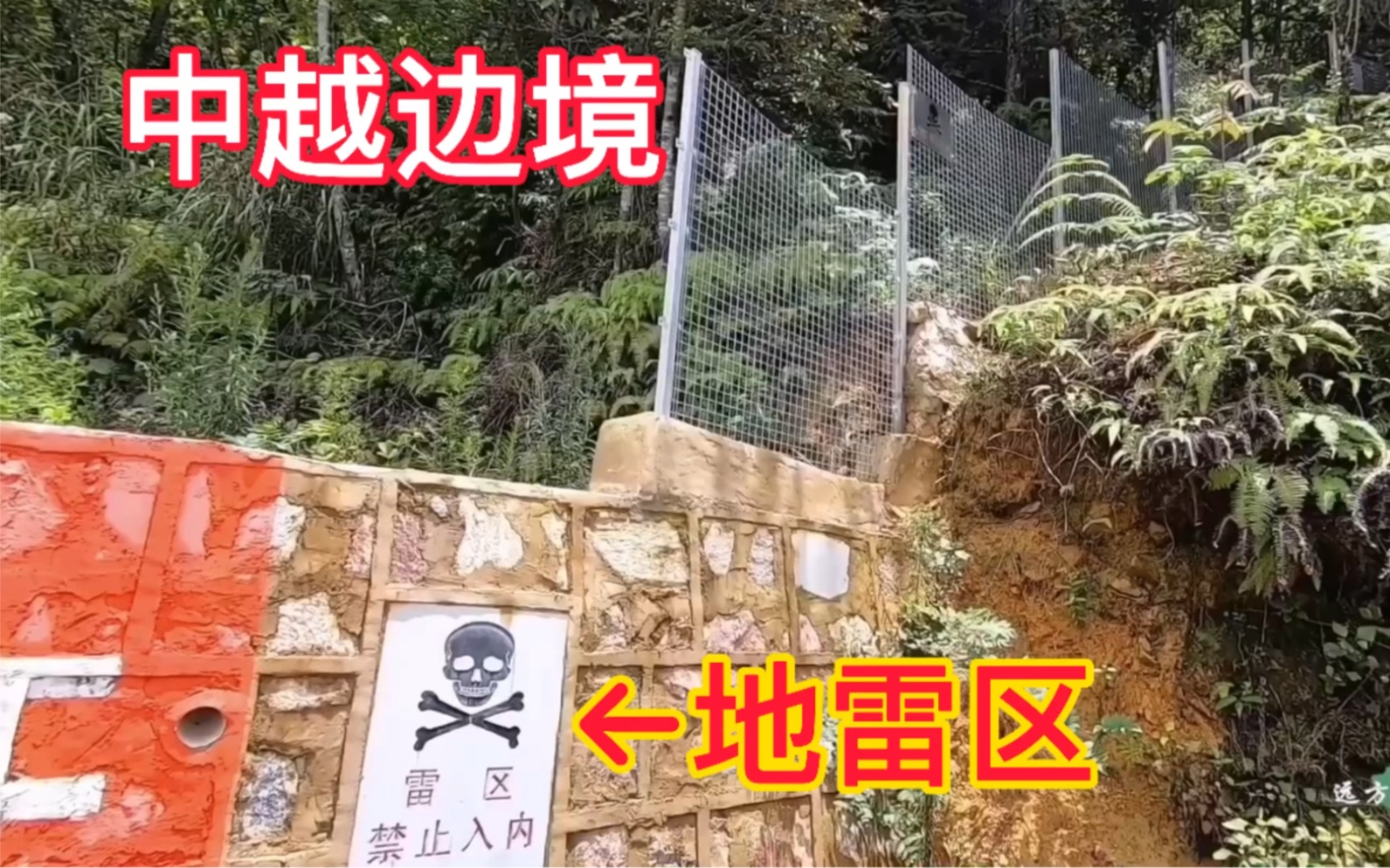 云南中越边境雷区,当年埋下的地雷,至今没排完,真正的危险地带_哔哩哔哩_bilibili