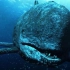 【深海恐惧症】新生代最强的两大海怪，巨齿鲨与利维坦鲸
