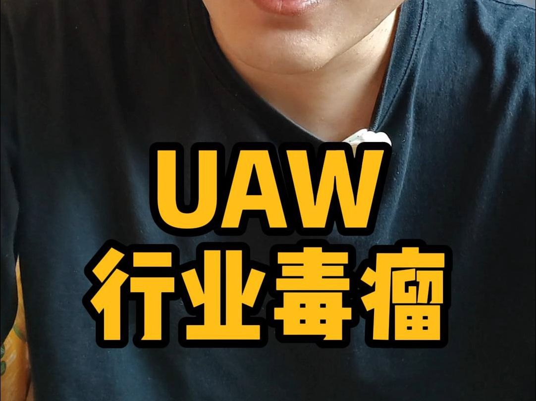 敢骑到资本家脖子上的工会——美国汽车工人工会UAW哔哩哔哩bilibili