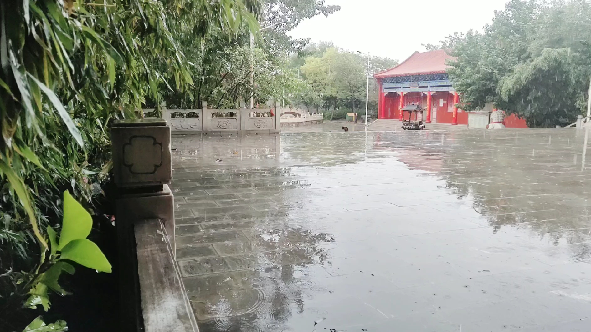 【白批008】【寺雨】万籁此都寂但“雨”钟磬音/檐下静听哔哩哔哩bilibili