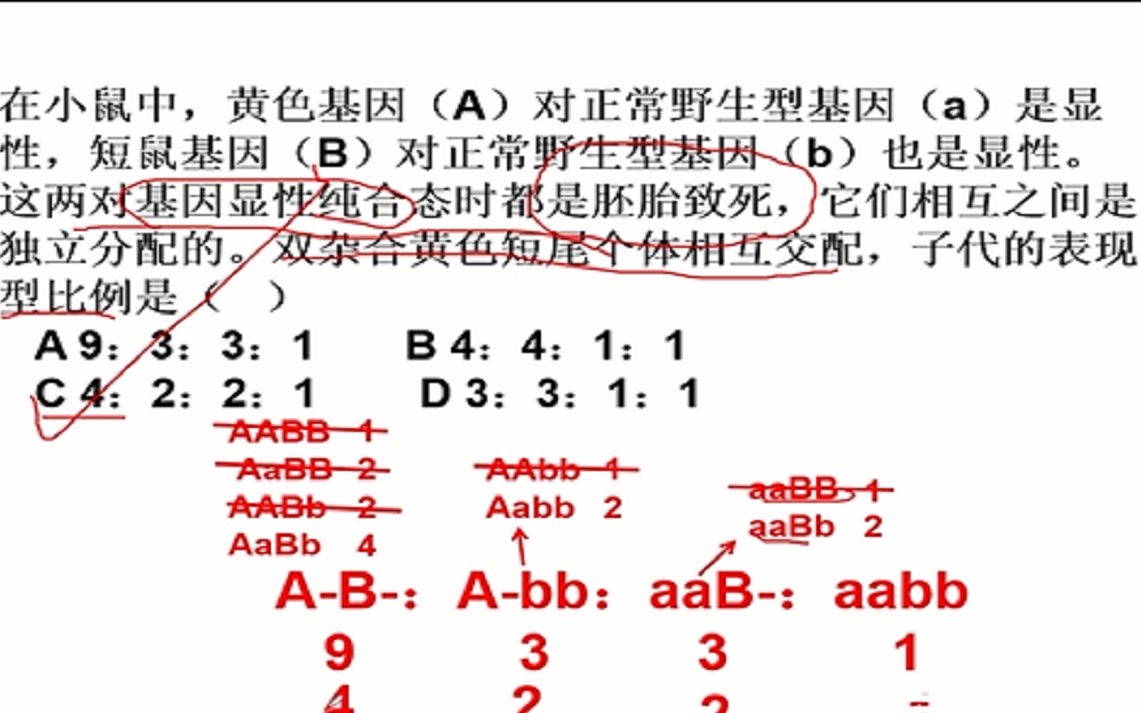 生物必修二复习:9331显性纯合致死哔哩哔哩bilibili