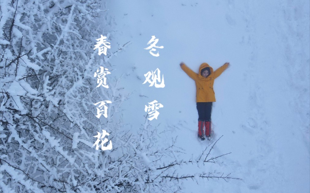 晓看天色暮看云 春赏百花冬观雪杭州的雪景绝了!