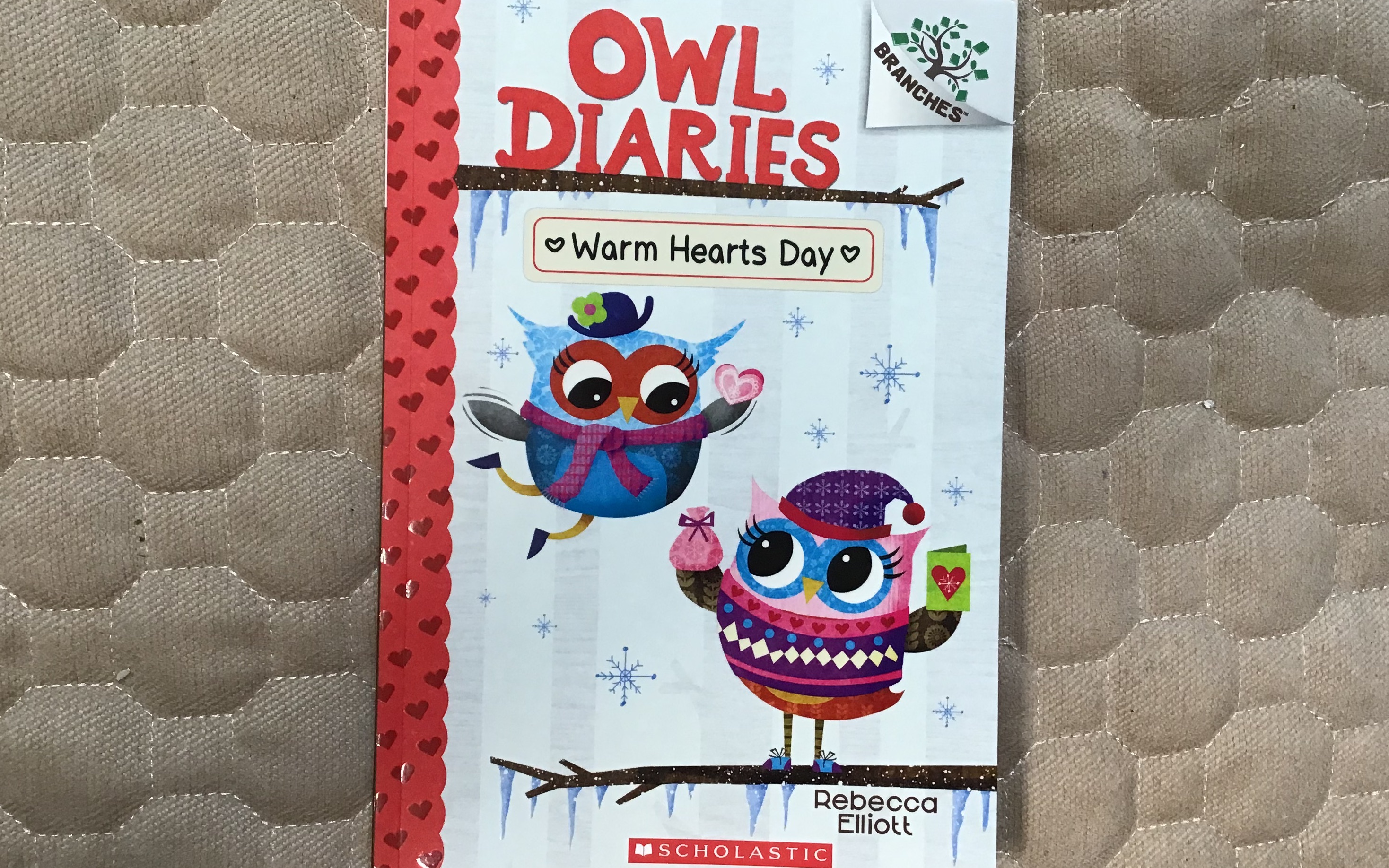 [图]Owl diaries