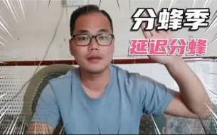 Download Video: 分蜂推迟，诱蜂更加需要耐心等待