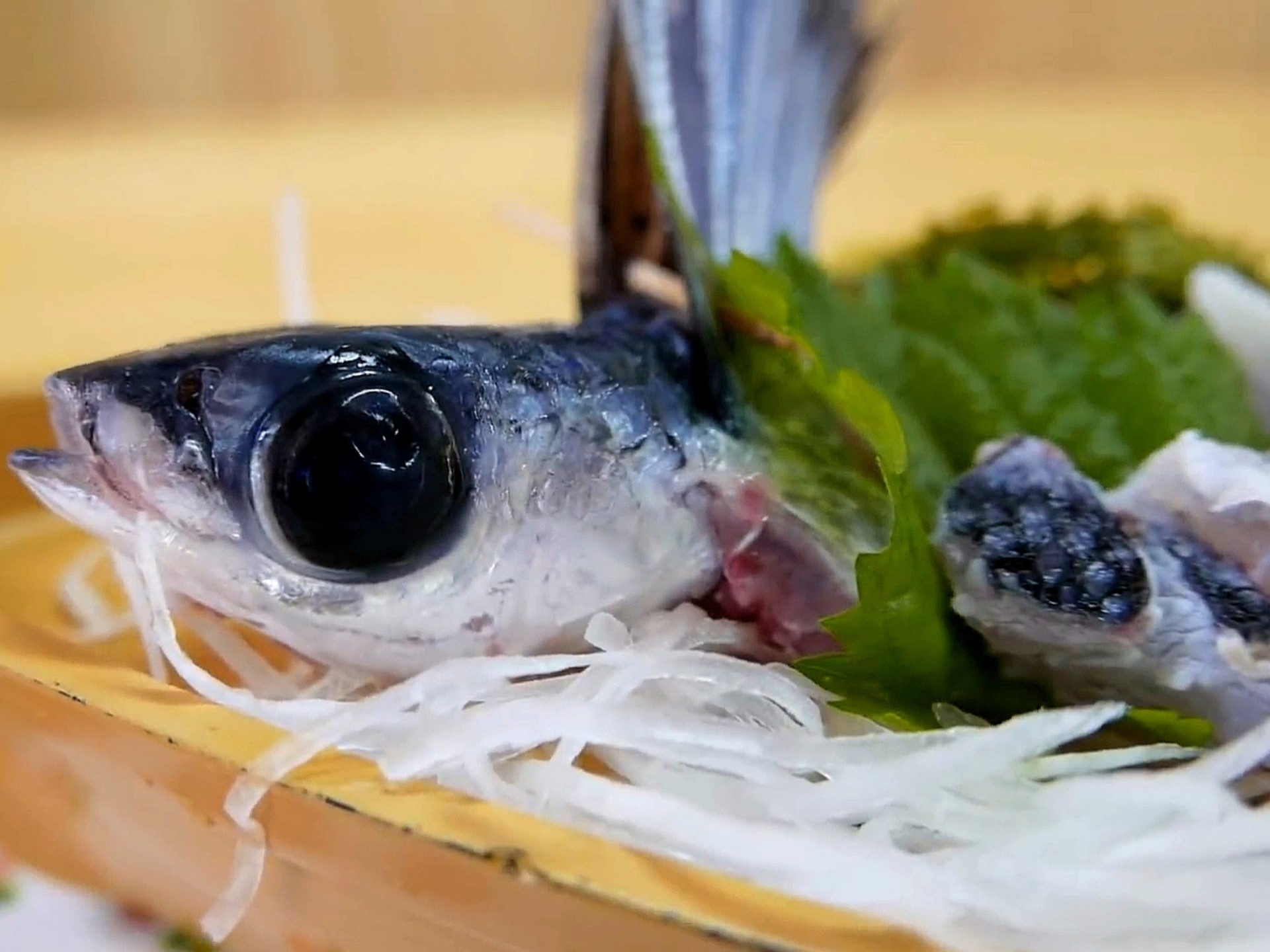 黑色的飞鱼刺身,油炸一鱼两吃