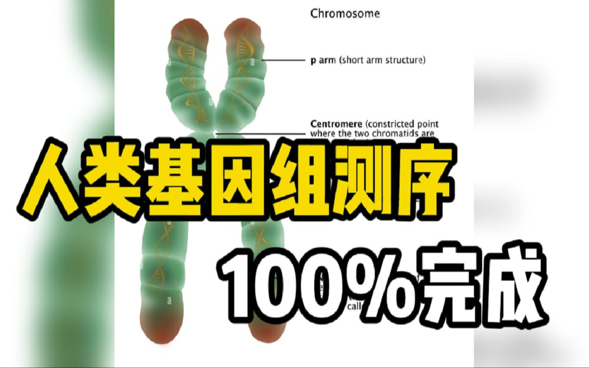 [图]历史性突破 人类基因组测序100%完成