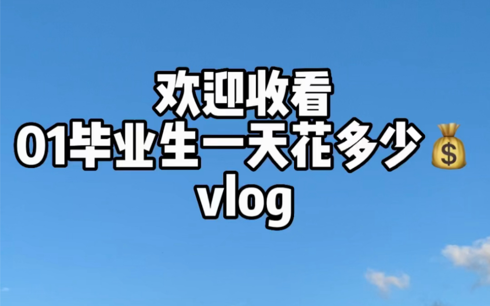 广州01毕业生上班一天花多少钱?普话不标准版Vlog哔哩哔哩bilibili