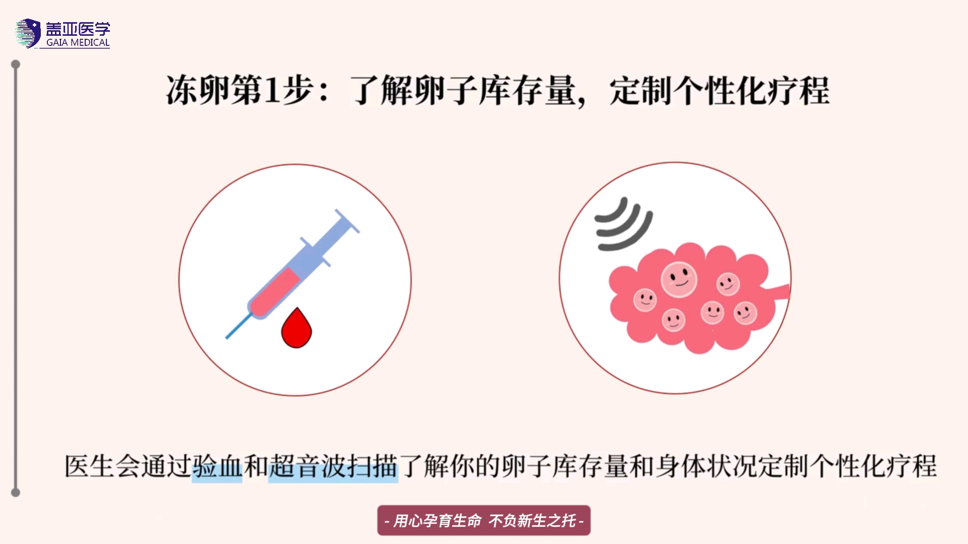 什么是冻卵？