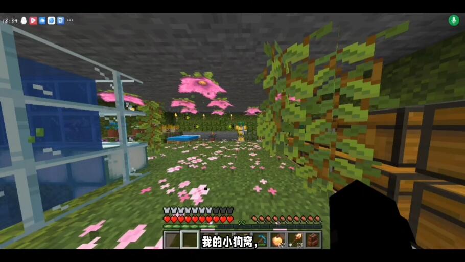 jojo摸组，想要的私我🤤_哔哩哔哩bilibili_我的世界