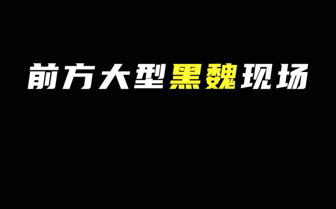 [图]芬TALK ① 被嫌弃的后期魏超的一生