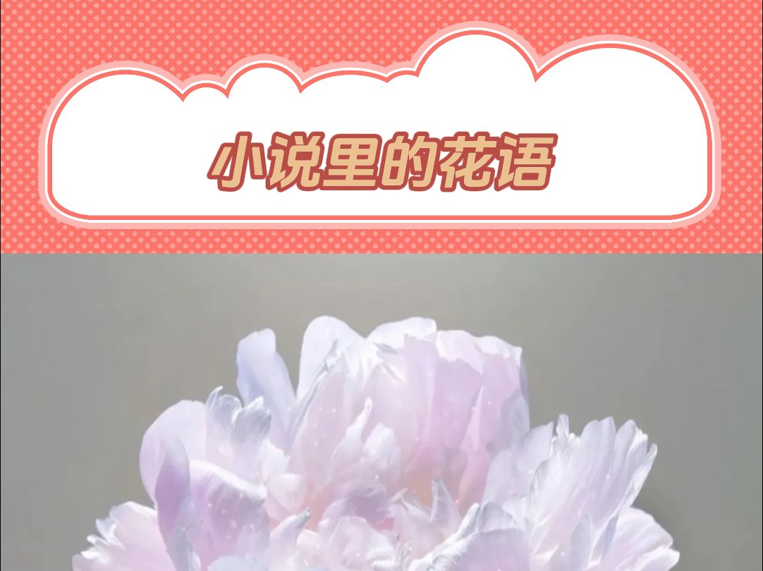 小说里的花语哔哩哔哩bilibili