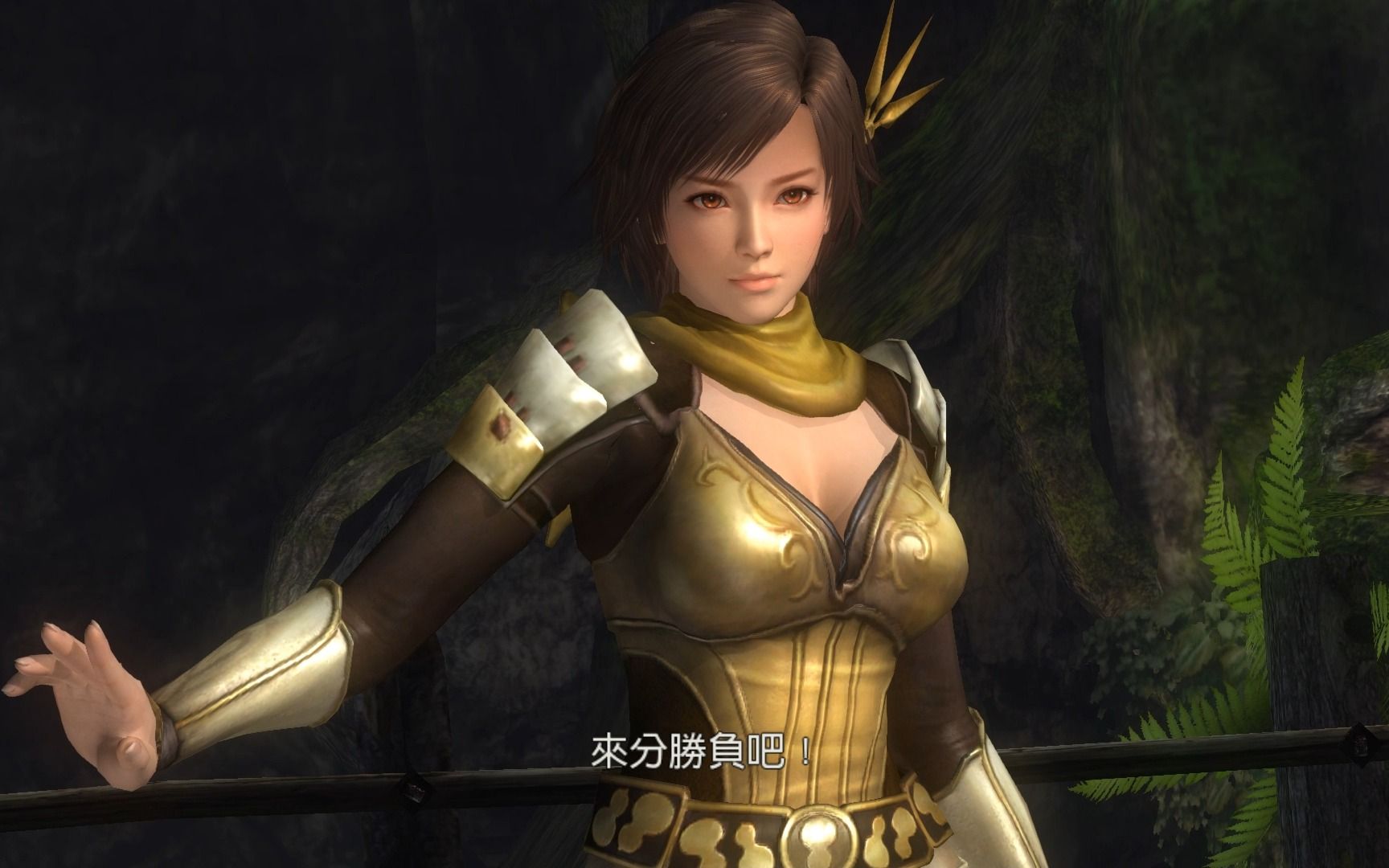 死或生5——战国无双之战国3宁宁(霞)vs战国3加西亚(虎妈)