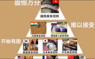 Descargar video: 各国美食视频震惊度排行